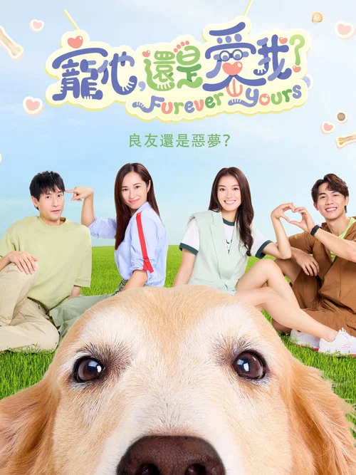 宠他,还是爱我?(2024)海报