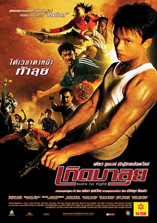 天生拳霸(2004)海报