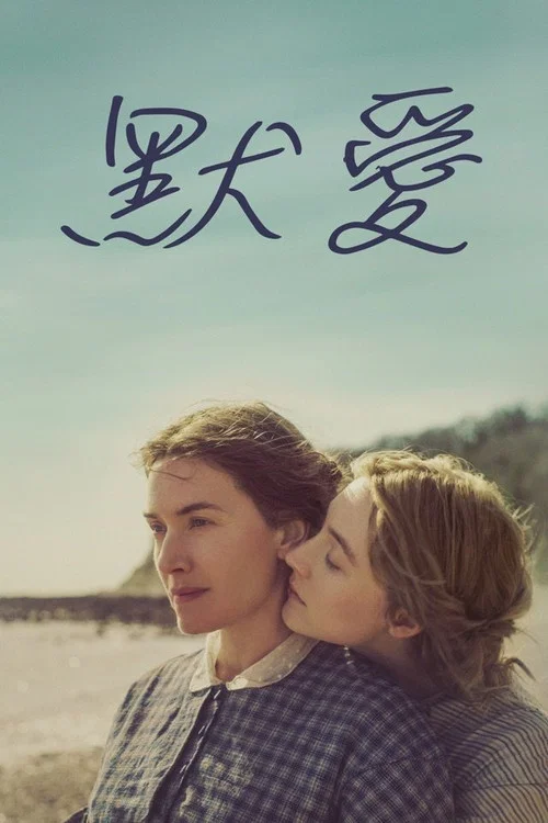 菊石(2020)海报