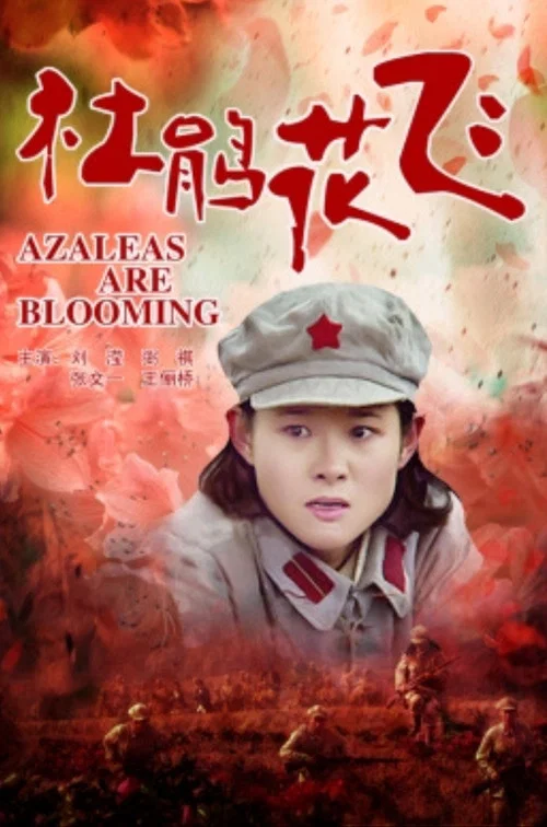 杜鹃花飞(2011)海报