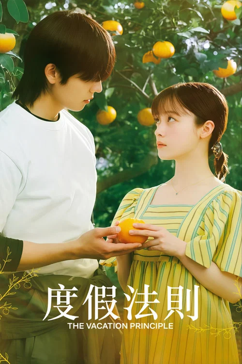 度假法则(2026)海报