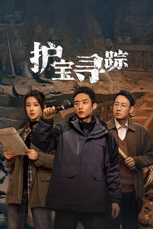 护宝寻踪(2025)海报