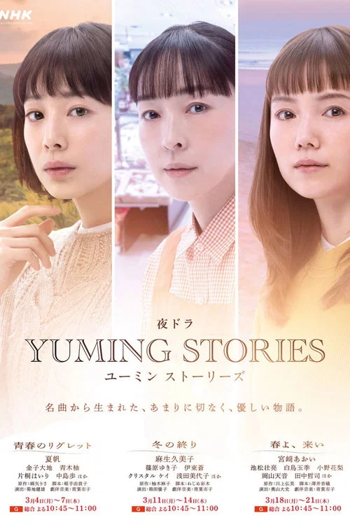 青春的懊悔(2024)海报