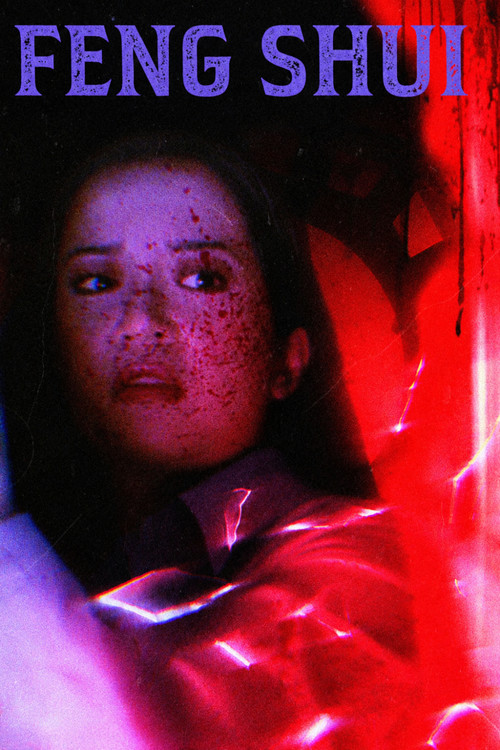 风水八卦镜(2004)海报