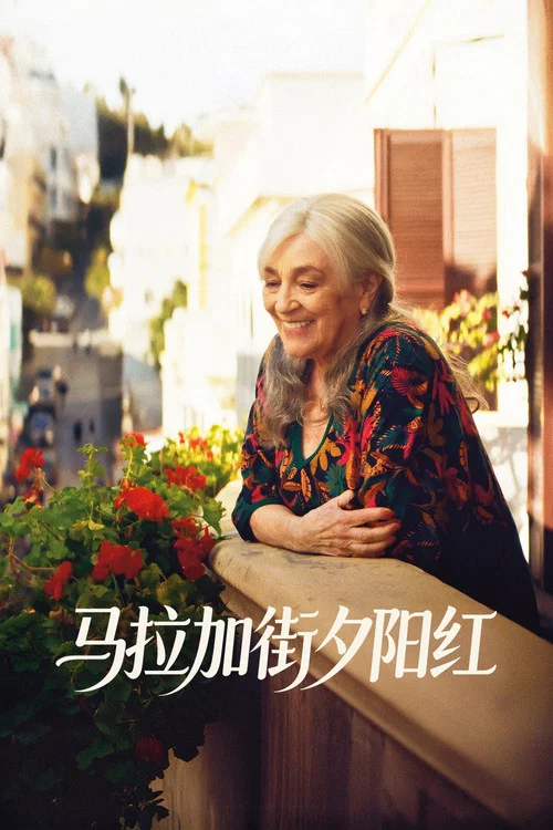 马拉加街夕阳红(2025)海报