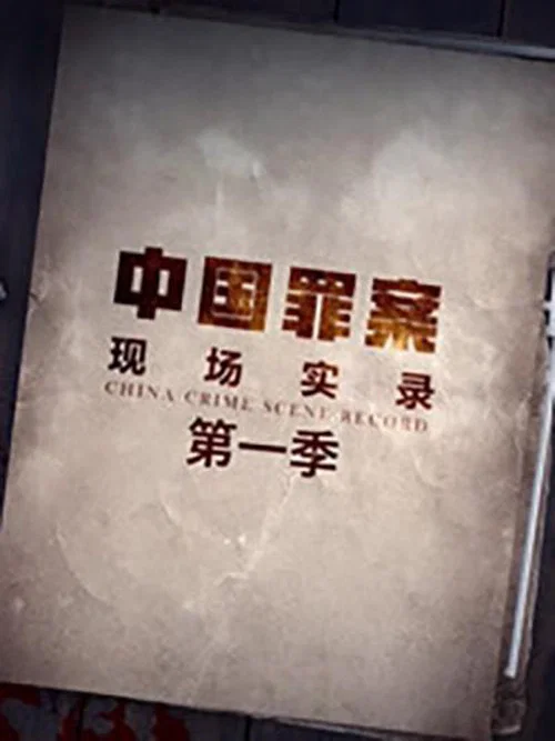罪案现场实录(2019)海报