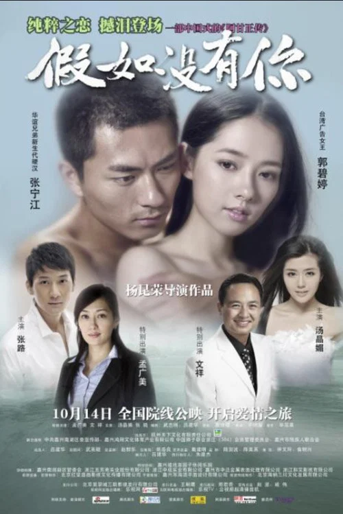 假如没有你(2011)海报