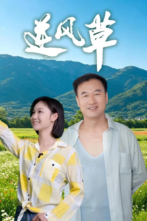 逆风草(2026)海报