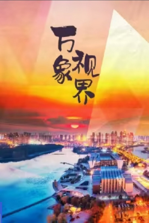 万象视界(2024)海报