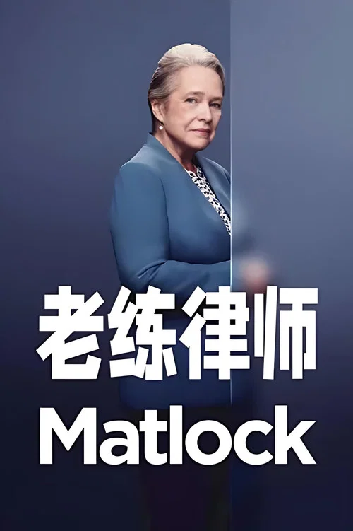 老练律师(2024)海报