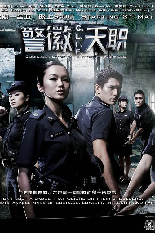 警徽天职(2011)海报