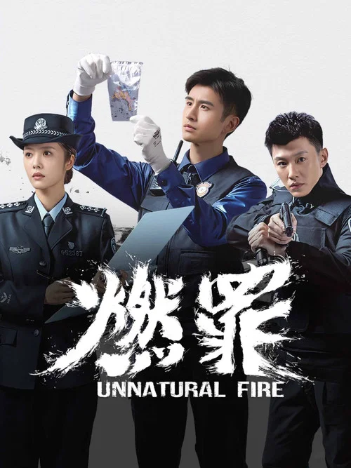 燃罪剧照4