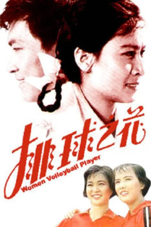 排球之花(1980)海报