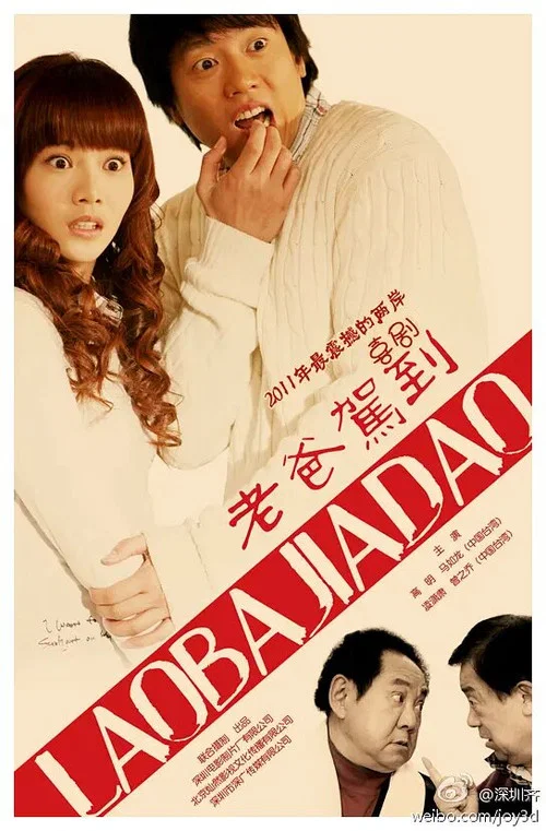 老爸驾到(2011)海报