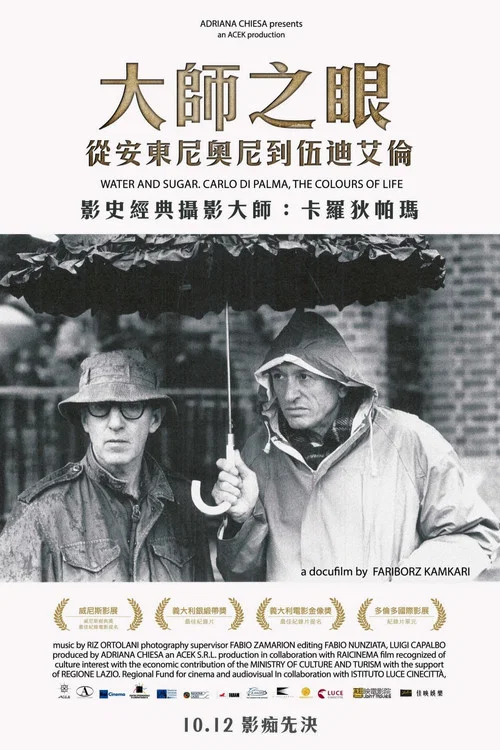 水与糖：摄影家卡洛·迪·帕尔马的生活与色彩(2017)海报
