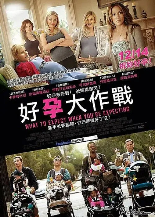 孕期完全指导(2012)海报