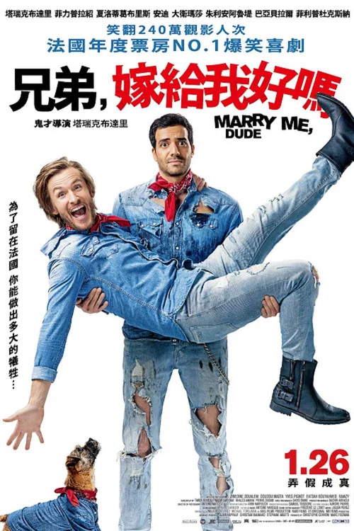 嫁我吧,哥们(2017)海报