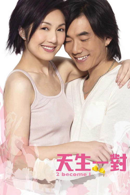天生一对国语(2006)海报