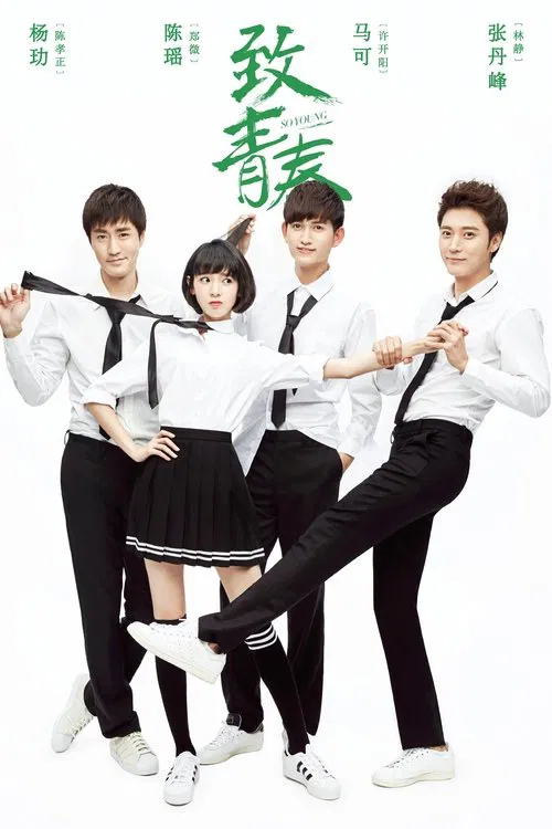 致青春(2016)海报
