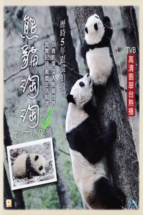 熊猫淘淘(2014)海报