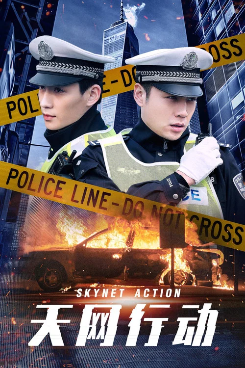 天网行动2019(2019)海报