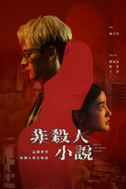 非杀人小说2024(2024)海报