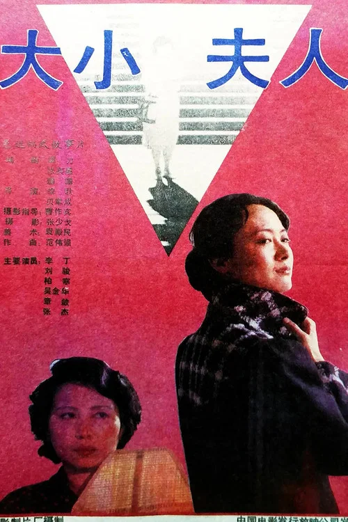 大小夫人(1988)海报