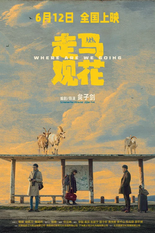 走马观花剧照3