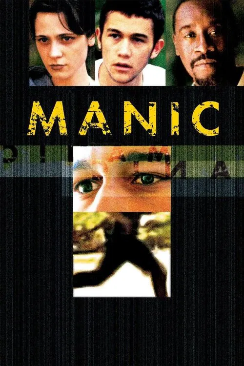 惨淡的青春(2002)海报