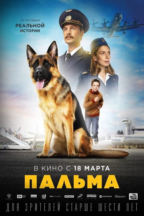 忠犬帕尔玛(2021)海报