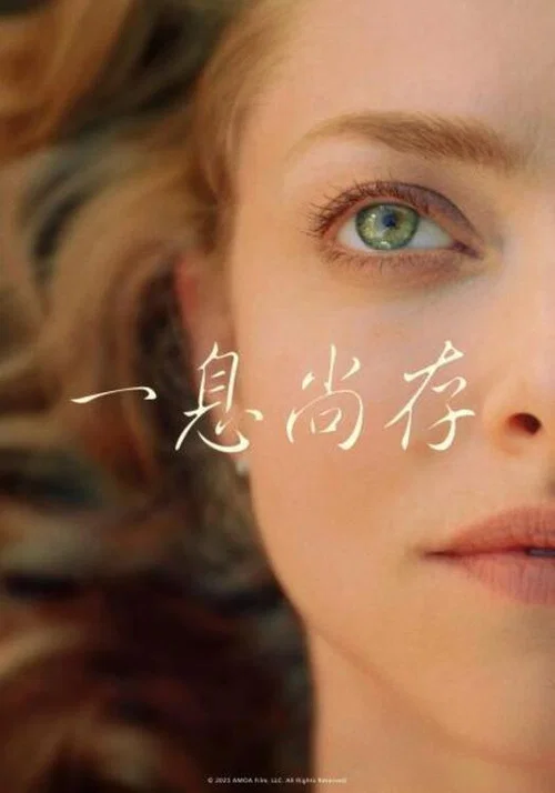 如释重负(2021)海报