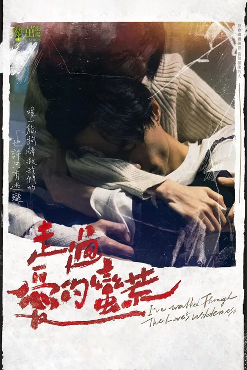 走过爱的荒蛮(2022)海报