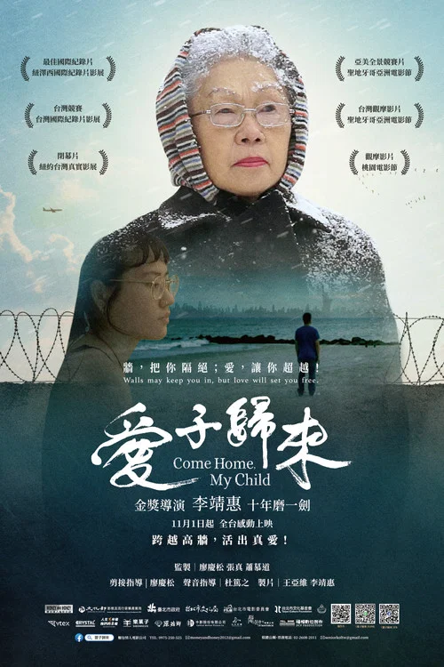 爱子归来(2024)海报