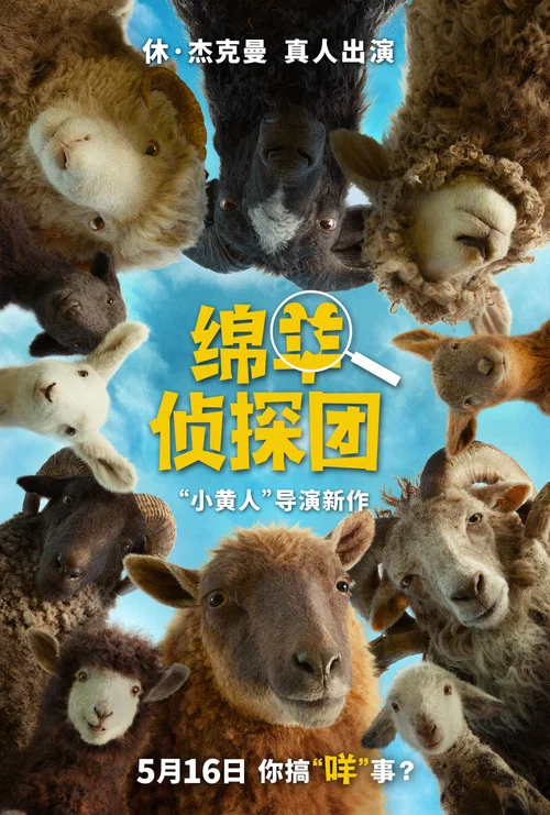 绵羊侦探团剧照6
