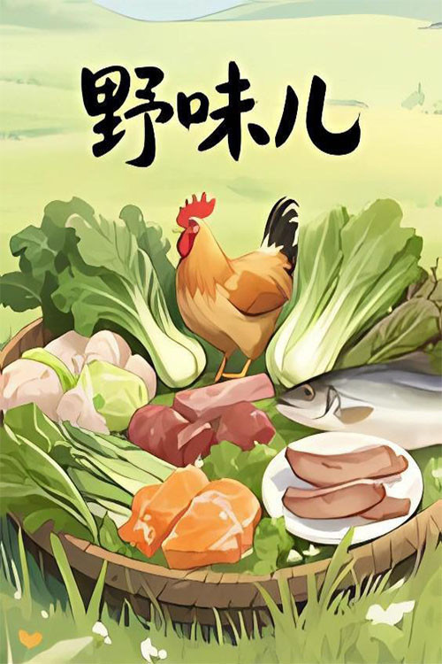 野味儿(2025)海报