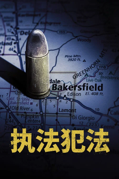 执法犯法(2023)海报