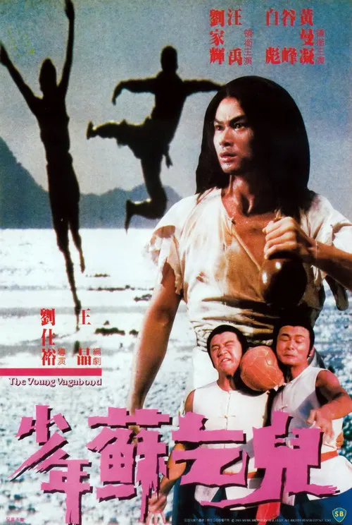 少年苏乞儿(1985)海报