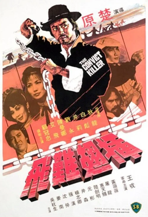 插翅难飞(1980)海报