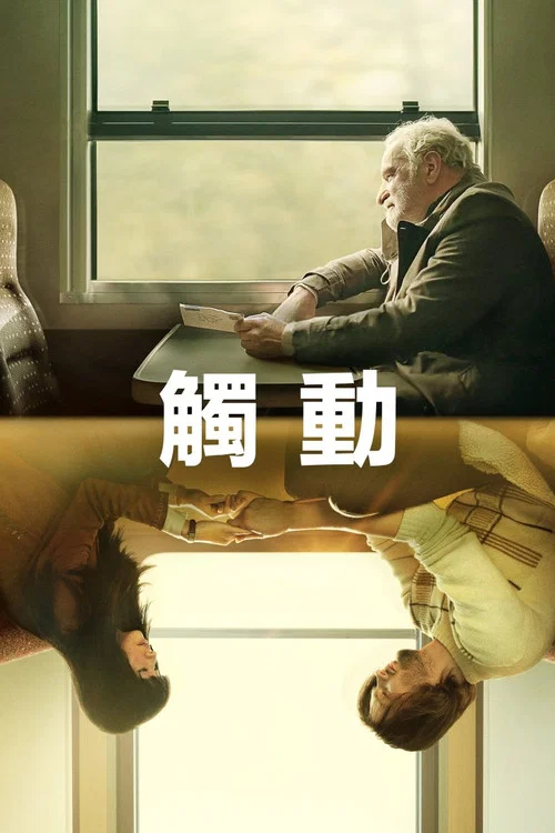 碰触(2024)海报