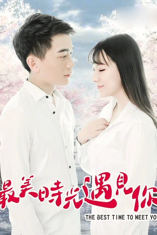 最美时光遇见你(2020)海报