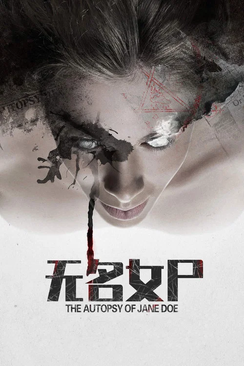 无名女尸(2016)海报