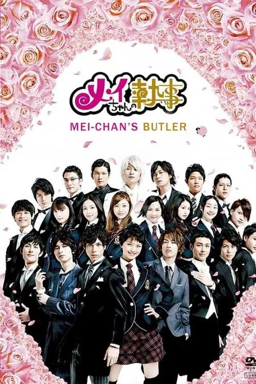 我的帅管家(2009)海报