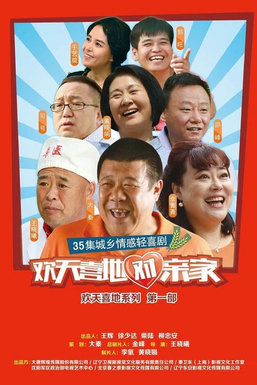欢喜亲家(2015)海报