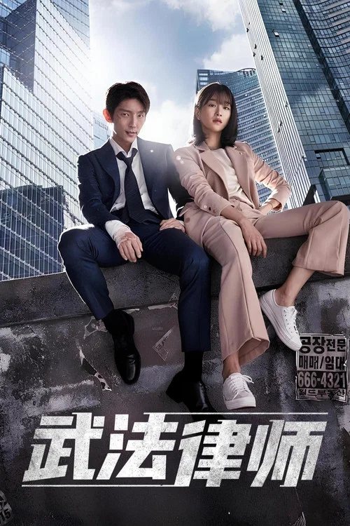 武法律师(2018)海报