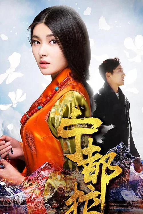 宁都拉(2018)海报