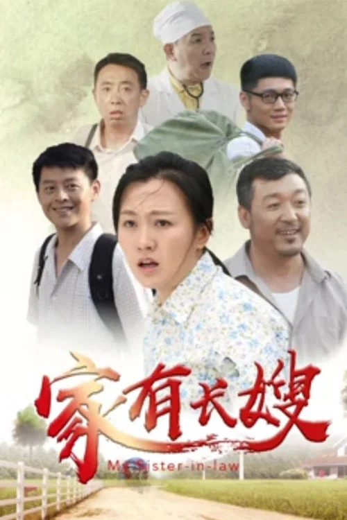 家有长嫂(2019)海报