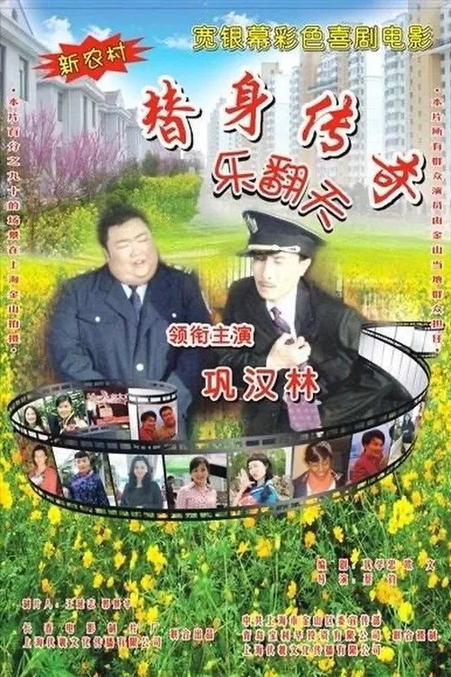 替身传奇乐翻天(2010)海报