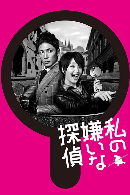 我讨厌的侦探(2014)海报