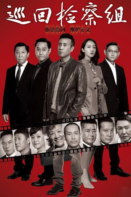 巡回检察组(2020)海报