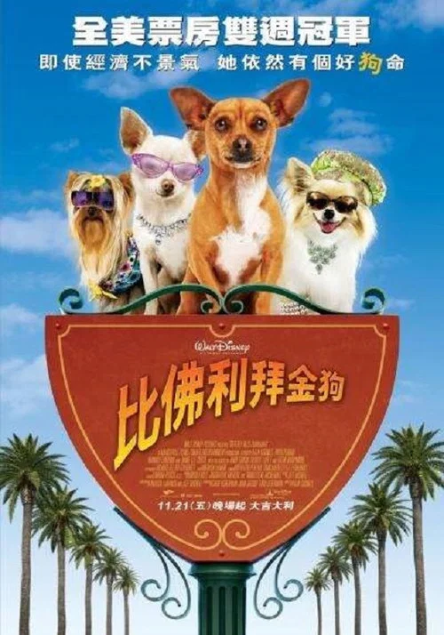 比佛利拜金狗(2008)海报